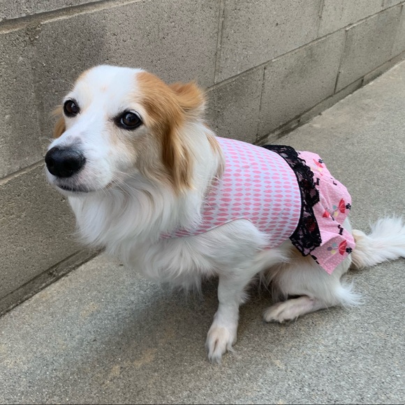 Meet your Posher, Kit - Picture 1 of 1